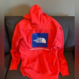 The North Face Box NSE Hoodie